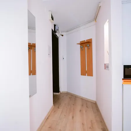 The Artist Near National Theatre Bucarest