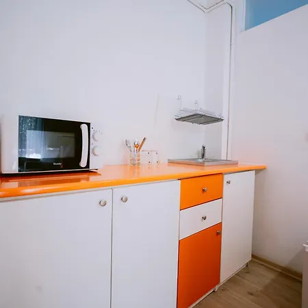 The Artist Near National Theatre Bucarest